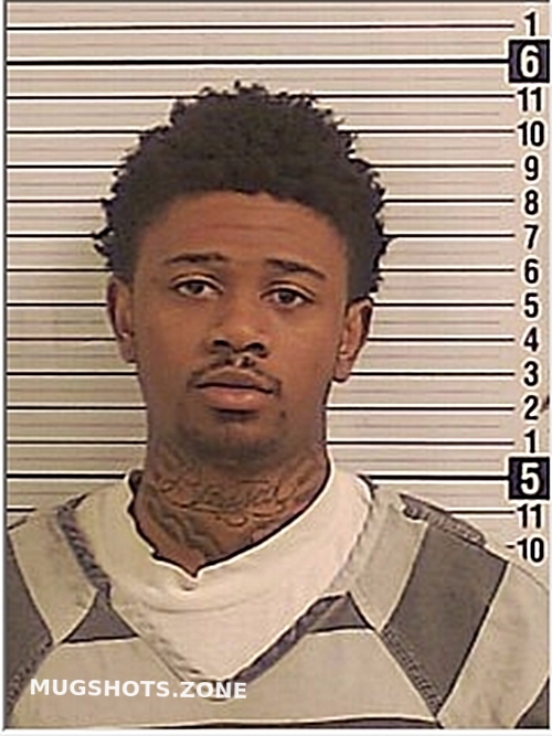 WATSON NAKAVEION JAZION 01/19/2024 Bay County Mugshots Zone