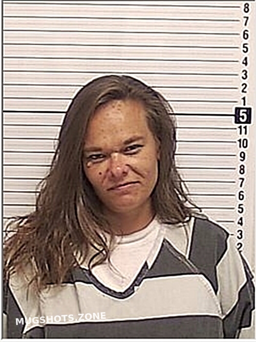 LENAIN AMY DANIELLE 01/23/2024 Bay County Mugshots Zone
