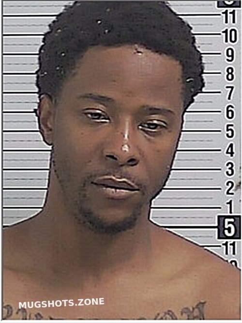 JOHNSON RUDLEY EMMANUEL 02/09/2024 Bay County Mugshots Zone