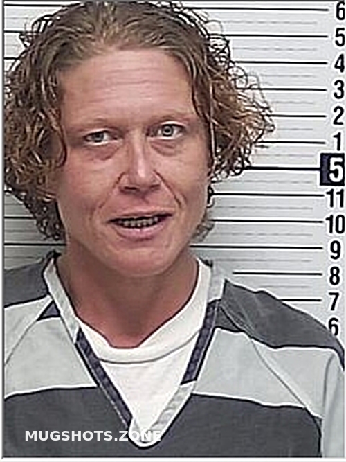 STONER MICHELLE ANN 02/17/2024 Bay County Mugshots Zone