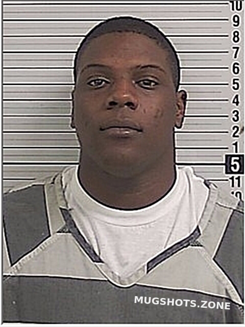 WOODS JAYBRION ELIJAH 02/21/2024 Bay County Mugshots Zone