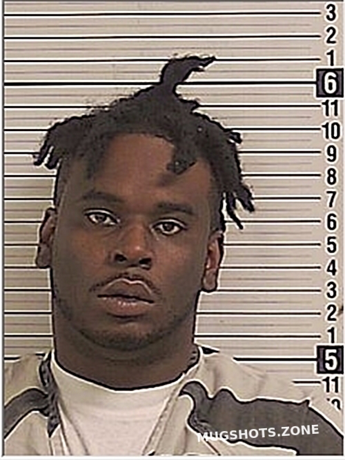 STOKES JACQUES 03/13/2024 Bay County Mugshots Zone
