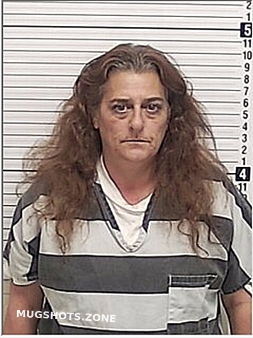 LEE JENNIFER 03/14/2024 Bay County Mugshots Zone