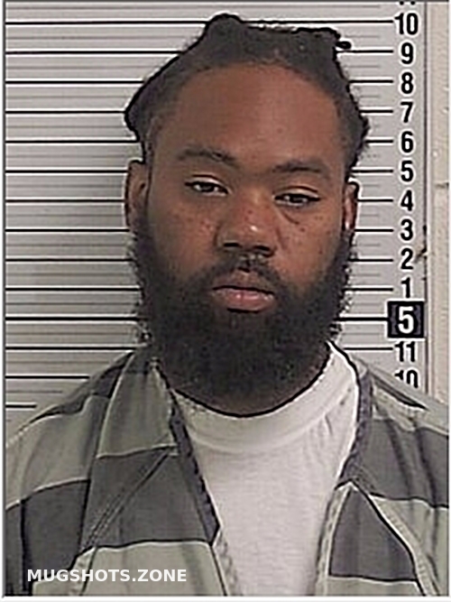 DODSON CERONDA TYRON 03/19/2024 Bay County Mugshots Zone