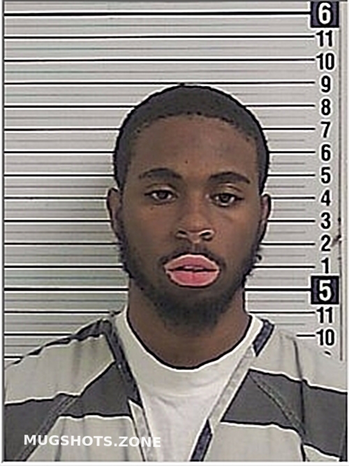 WHITELY JORDAN MICHAEL 03/20/2024 Bay County Mugshots Zone