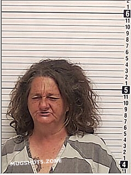 BAER LINDY LEI 03/21/2024 Bay County Mugshots Zone