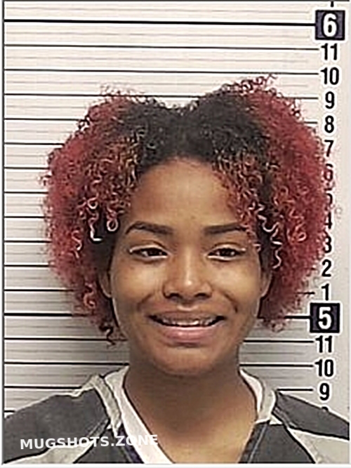 SIMMS SHARIAH TONYAE SHERICE 04/04/2024 Bay County Mugshots Zone