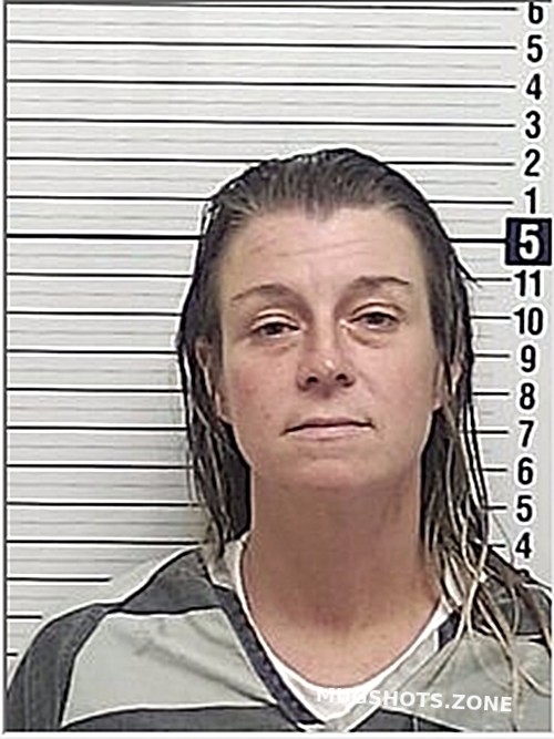 ROSENBERGER CYNTHIA RENEE 04/05/2024 Bay County Mugshots Zone