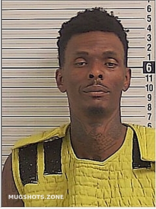 WILLIAMS JBABE 04/09/2024 Bay County Mugshots Zone