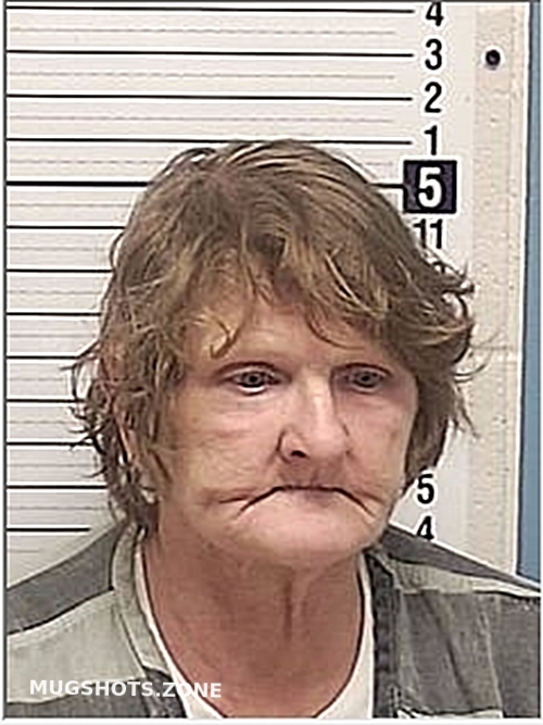 BAILEY KAREN SUE 04/09/2024 Bay County Mugshots Zone