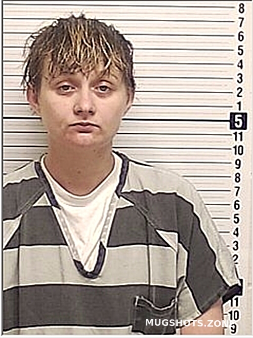 BROOKS CASSIE NICOLE 04/24/2024 Bay County Mugshots Zone