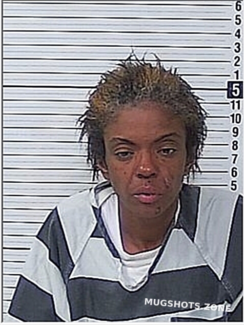 DAVIDSON JESSICA LYNN 04/27/2024 Bay County Mugshots Zone