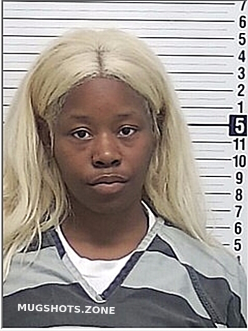 STODDART MARIYA CLIFFTIANNA 05/12/2024 Bay County Mugshots Zone