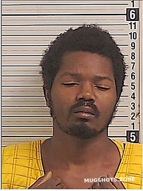 RICARDO HAYES LAMAR 05/19/2024 Bay County Mugshots Zone
