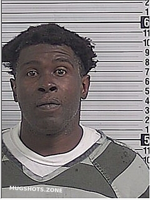 BYIRT ANDRE LAMAR 05/23/2024 Bay County Mugshots Zone