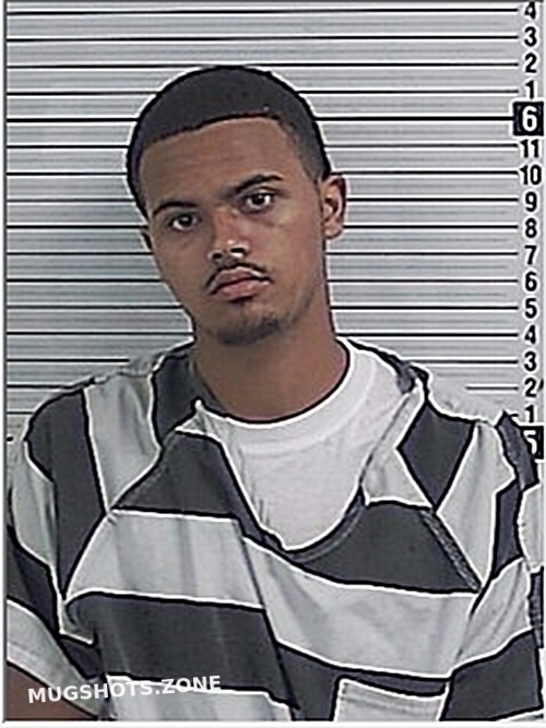 BARNES BRIAN TYLER 05/26/2024 Bay County Mugshots Zone