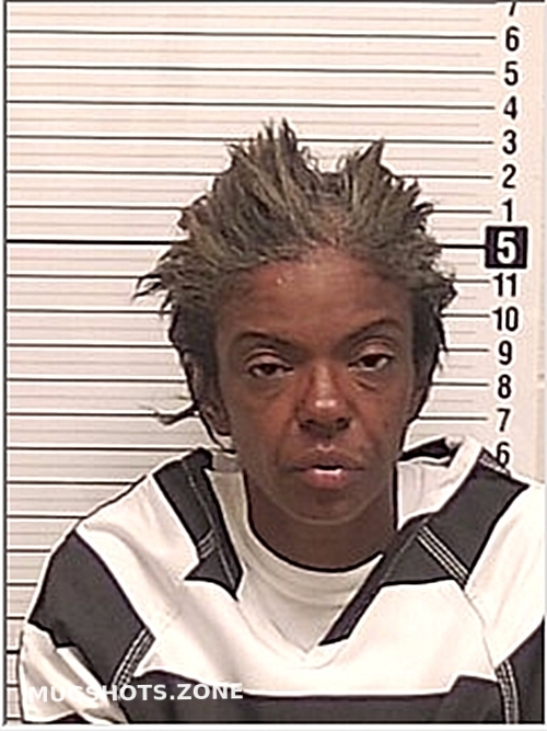 DAVIDSON JESSICA LYNN 05/30/2024 Bay County Mugshots Zone