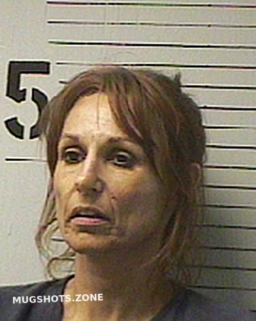 HOLLEY SHERRIE RENEE 06/01/2024 Bay County Mugshots Zone