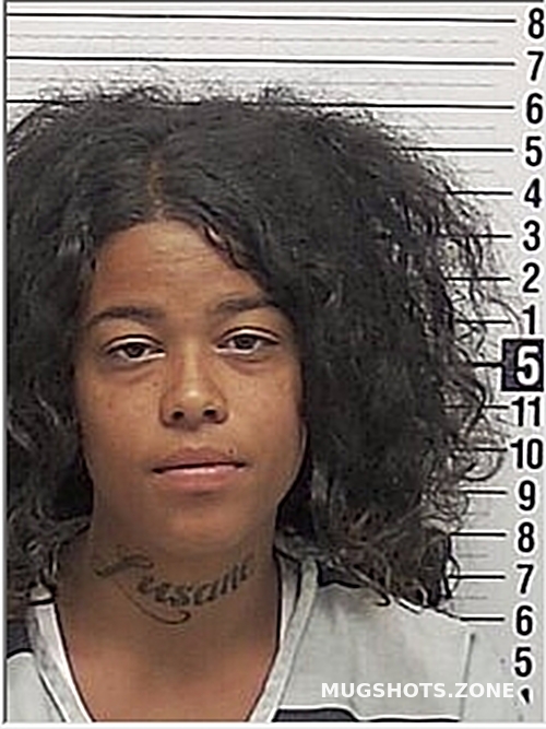 CLARK KENNEDI MIAYA 06/18/2024 Bay County Mugshots Zone