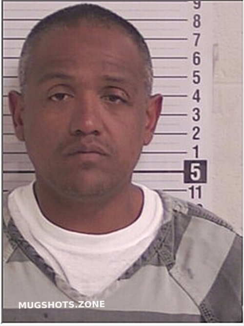GRAHIRENA JOHUMER 06/19/2024 Bay County Mugshots Zone
