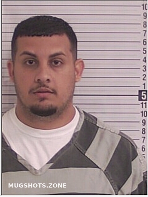 DUNITRU MARIAN 06/19/2024 Bay County Mugshots Zone(02)