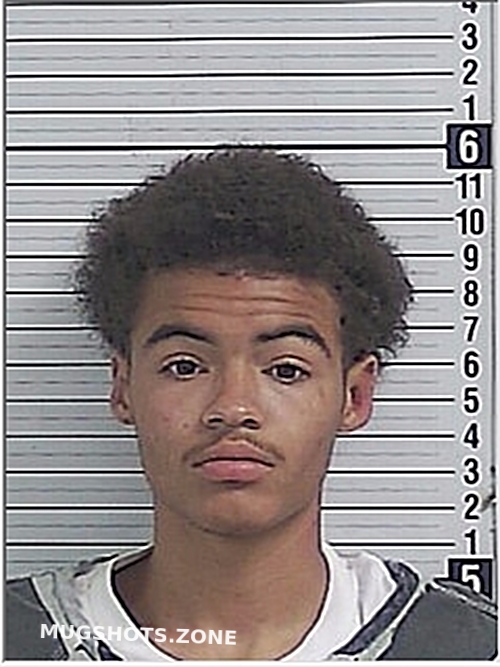 GREEN OMARI AVAUNT 06/23/2024 Bay County Mugshots Zone