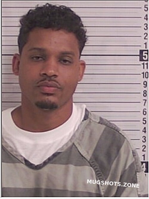 PORTUONDO CRUZ ERIDES 06/24/2024 Bay County Mugshots Zone