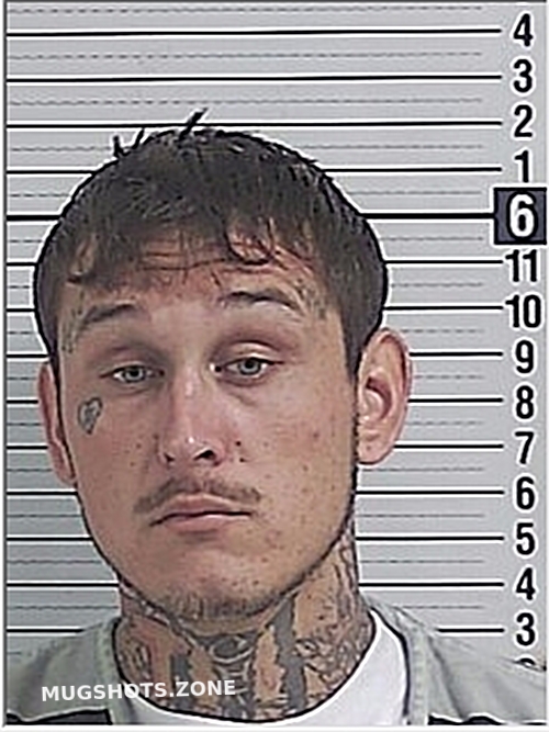 LOWE EDWARD KALEB 07/16/2024 Bay County Mugshots Zone
