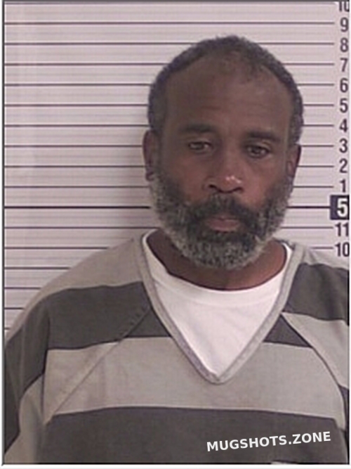 BRYAN DARYL DARNELL 07/23/2024 Bay County Mugshots Zone