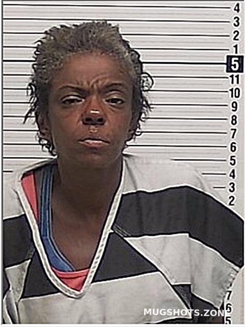 DAVIDSON JESSICA LYNN 07/24/2024 Bay County Mugshots Zone