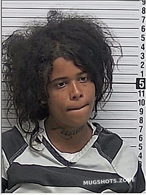 CLARK KENNEDI MIAYA 07/28/2024 Bay County Mugshots Zone