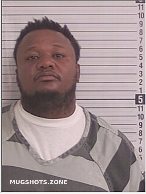 BAILEY JAMOY JUNIOR 08/11/2024 Bay County Mugshots Zone(01)