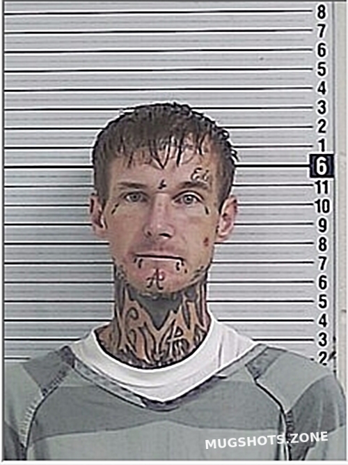 SWINNEY BRANDON HOUSTON 08/14/2024 Bay County Mugshots Zone