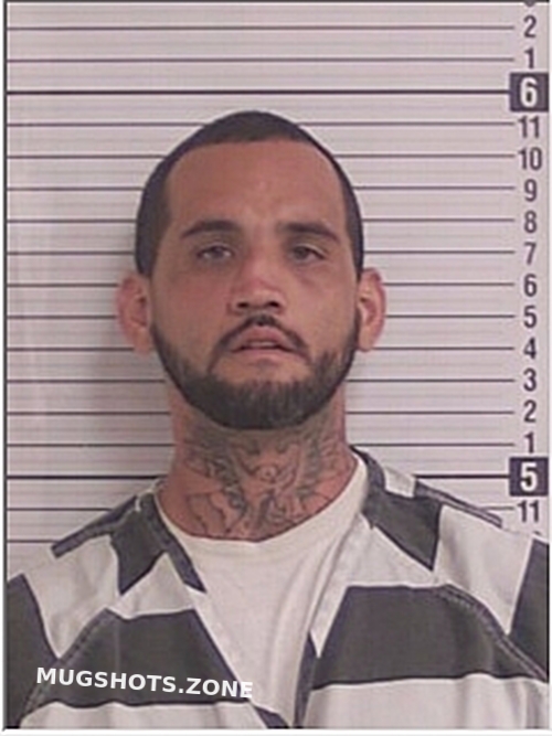MEDINA JOSEPH JUAN 08/28/2024 Bay County Mugshots Zone