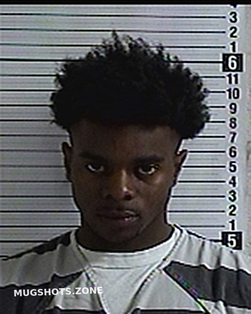 JACKSON ADRIAN HERNANDEZ 09/17/2024 Bay County Mugshots Zone