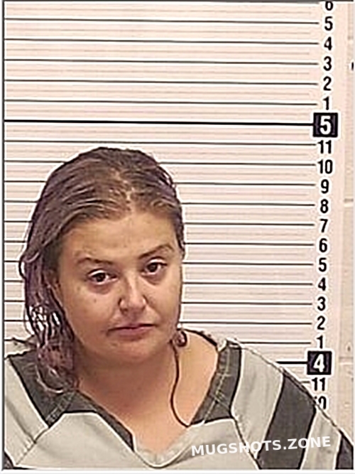 DECKER NICOLE Y 10/11/2024 Bay County Mugshots Zone