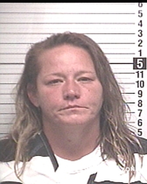 WILDER JOANNA MICHELLE 10/16/2024 Bay County Mugshots Zone