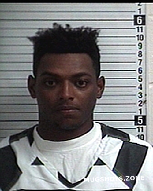 ROBINSON DANIEL DAJUAN 10/23/2024 - Bay County Mugshots Zone