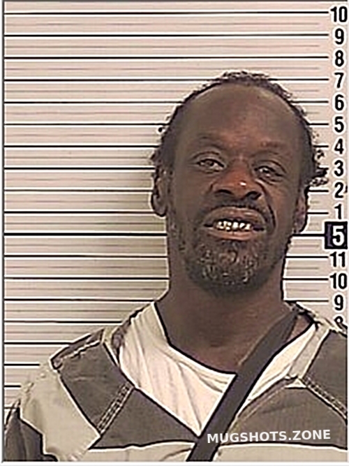 HOLLEY DEVON NIKKARO 10/30/2024 Bay County Mugshots Zone