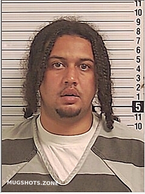 DANGER OHAGI ISMAEL 11/02/2024 Bay County Mugshots Zone
