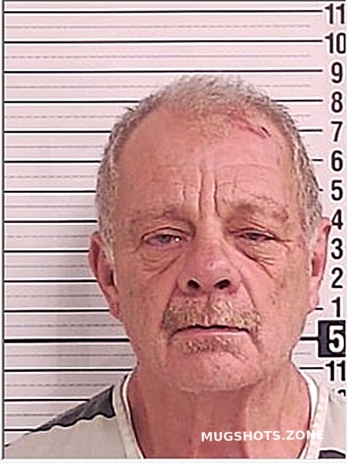 KLINGER RONNIE JOSEPH 11/13/2024 Bay County Mugshots Zone