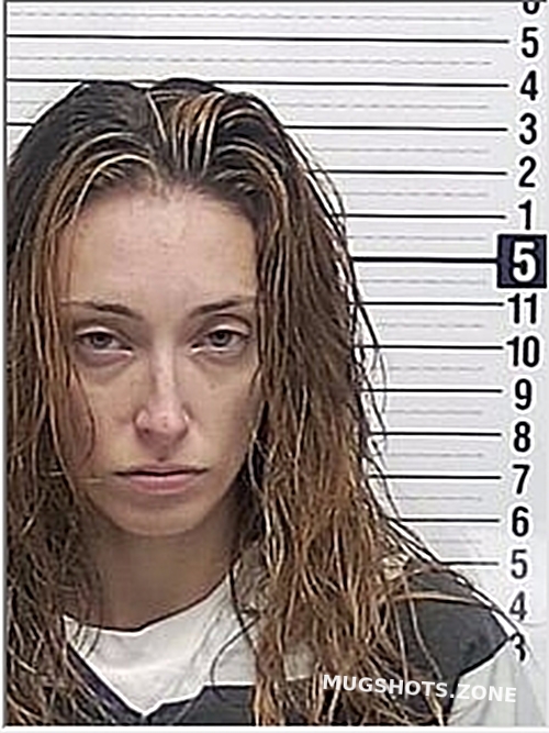 HALL SUMMER DAWN 11/13/2024 Bay County Mugshots Zone