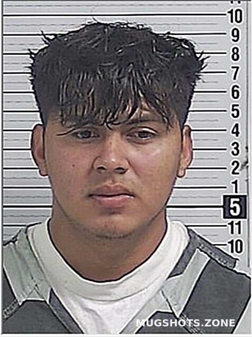CARRANZA ALVARENGA JOSUE MERLIN 11/14/2024 Bay County Mugshots Zone