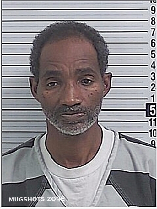 MCDOUGAL DANIEL JEROME 11/15/2024 Bay County Mugshots Zone