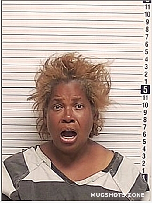 TAYLOR BIENVENIDA LOURDES 11/18/2024 Bay County Mugshots Zone