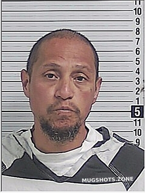 DELEON LUIS ALBERTO 11/19/2024 Bay County Mugshots Zone