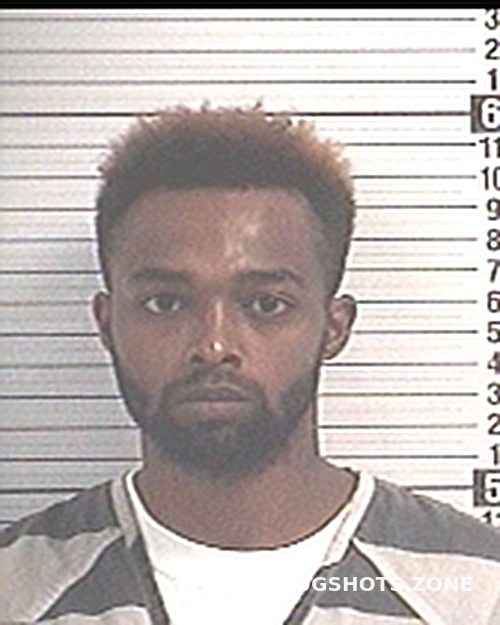 YANCEY WILLIAM MAURICE 11/26/2024 Bay County Mugshots Zone