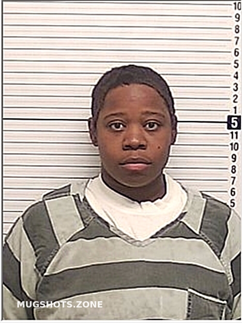 BARNES ARINESSA ELIZABETH 12/05/2024 Bay County Mugshots Zone