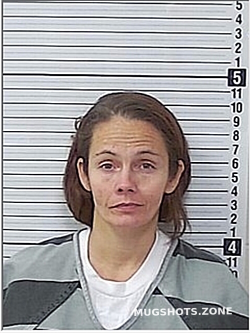 BROOKS ALYSON BLAKE 12/20/2024 Bay County Mugshots Zone
