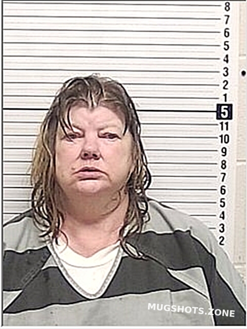 VERGE DAPHNE CARRIE 01/20/2025 Bay County Mugshots Zone